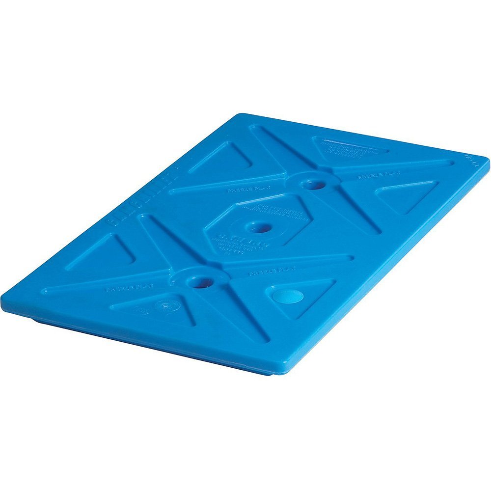 Camchiller placa fría 12 x 20 para termos - Cambro Alemania