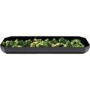 Bandeja exhibicion showfest octagonal 5.8 lt negro - Cambro